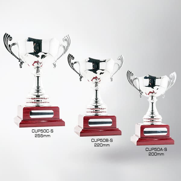 CUP50C-S-CUP50A-S - Millenium Trophies