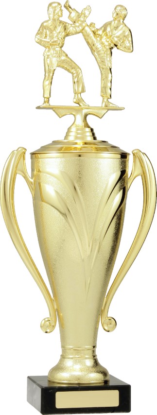 Gold Champion Cup 460mm