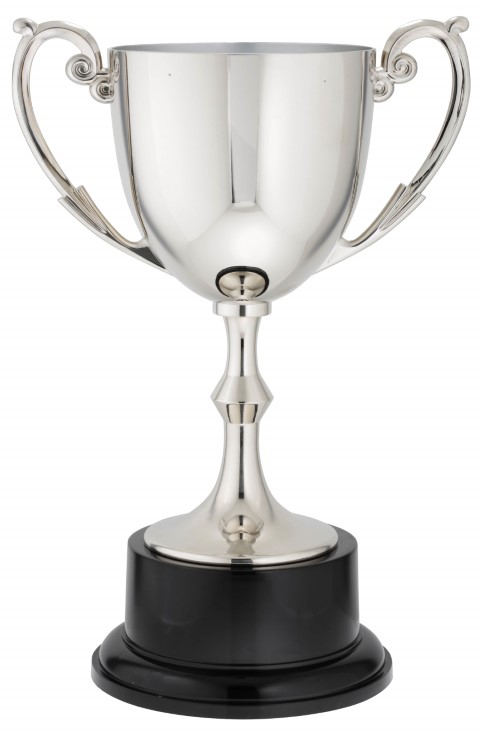 Recognition Cup 265mm