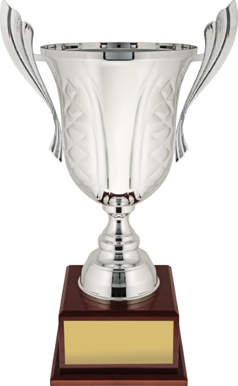 Celebration Cup Silver 650mm