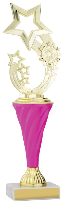 Pink Spiral Trophy 305mm