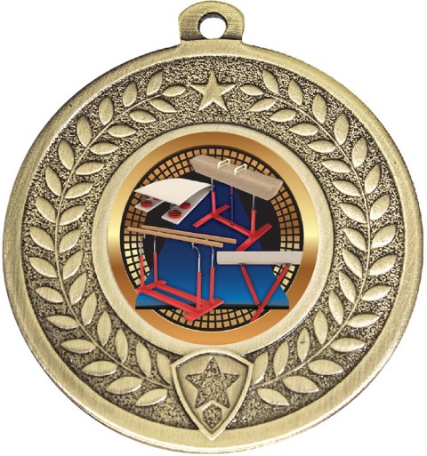 Budget Distinction Medal Gold
