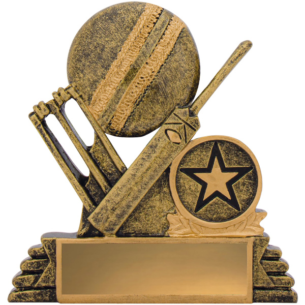 Cricket Budget Icon
