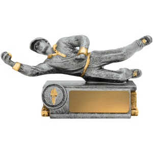 Cricket Diving Fielder