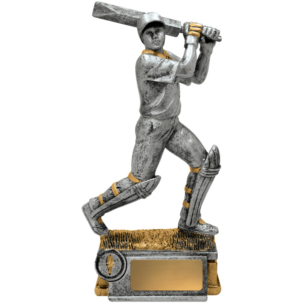 Cricket Batsman