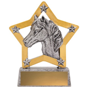 Horse Mini Star