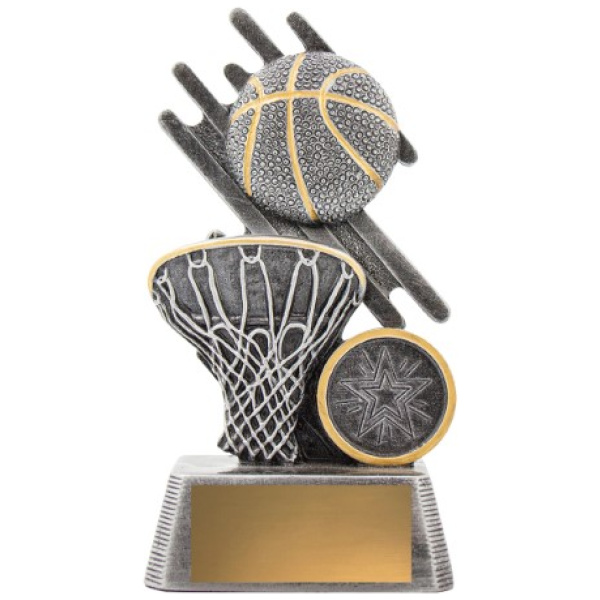Zoom Basketball