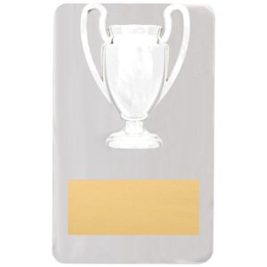 Metal Achievement Plaque