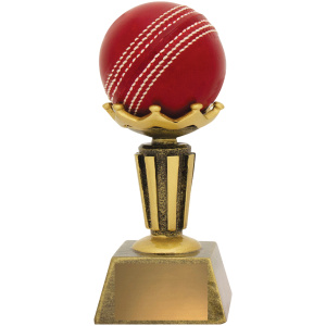 Cricket Ball Holder