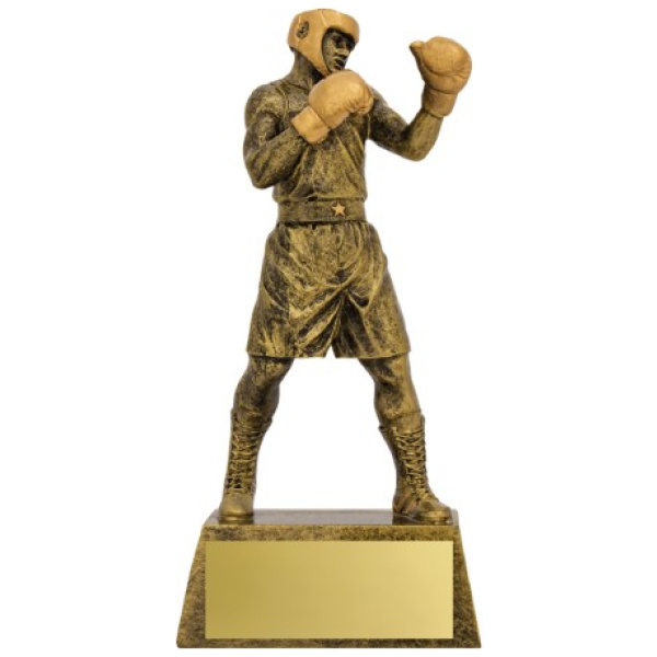 Action Boxer