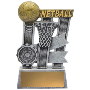 Netball Silver Ribbon