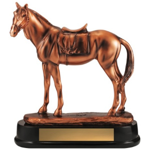 Horse Bronze Champion