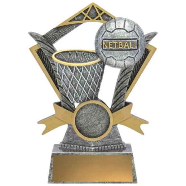 Netball Valour