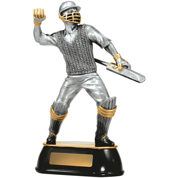 Cricket Celebration