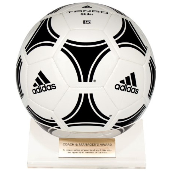 Acrylic Ball Holder