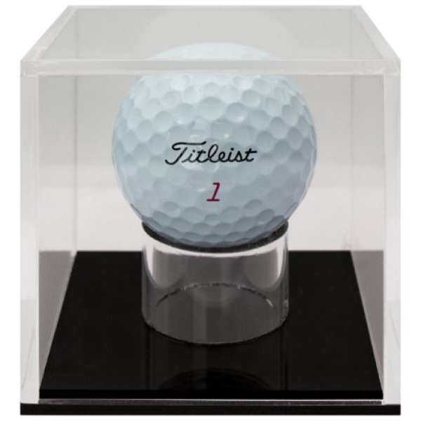 Golf Ball Case