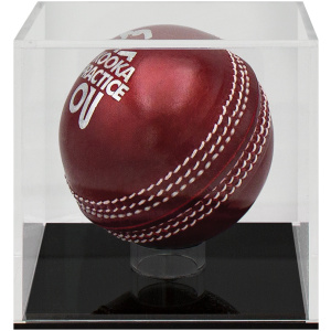 Cricket Ball Case