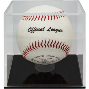 Baseball Ball Case