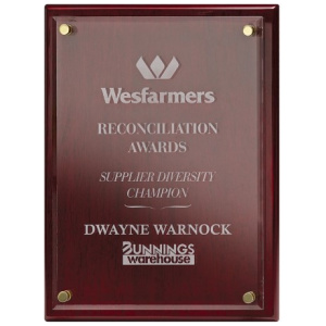 Advantage Acrylic - Rosewood