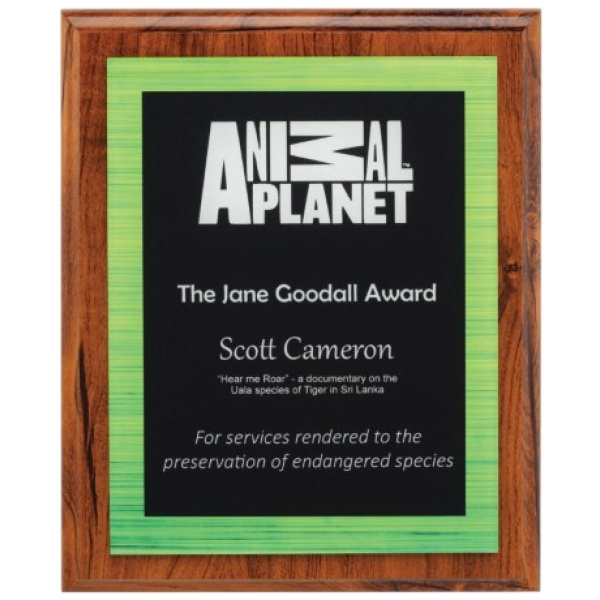 Vivid Green Plaque