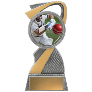 Arclight Colour - Batting