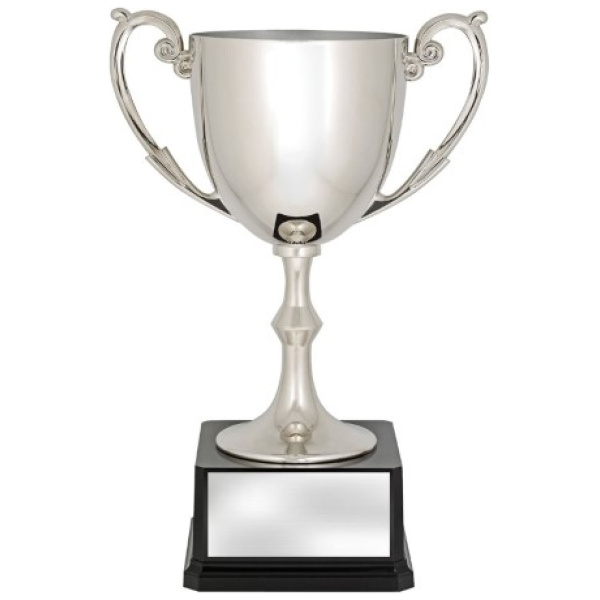 Recognition Cups