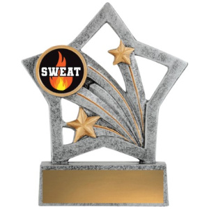 Flash - Sweat Training