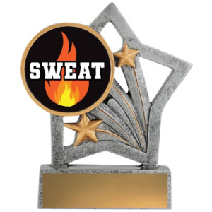 Flash - Sweat Training