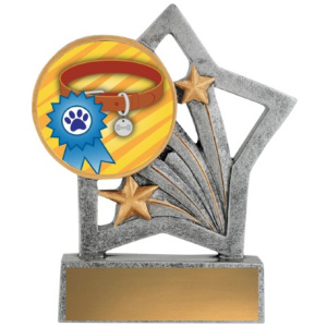 Flash - Ribbon & Collar