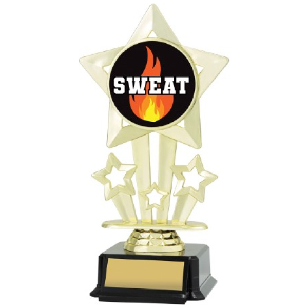 Icon Star - Sweat