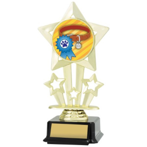 Icon Star - Ribbon & Collar