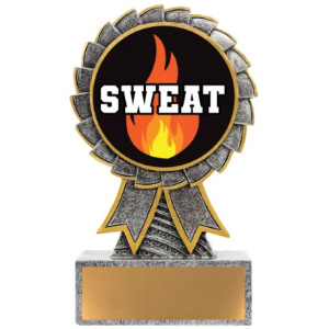 Aster - Sweat Training