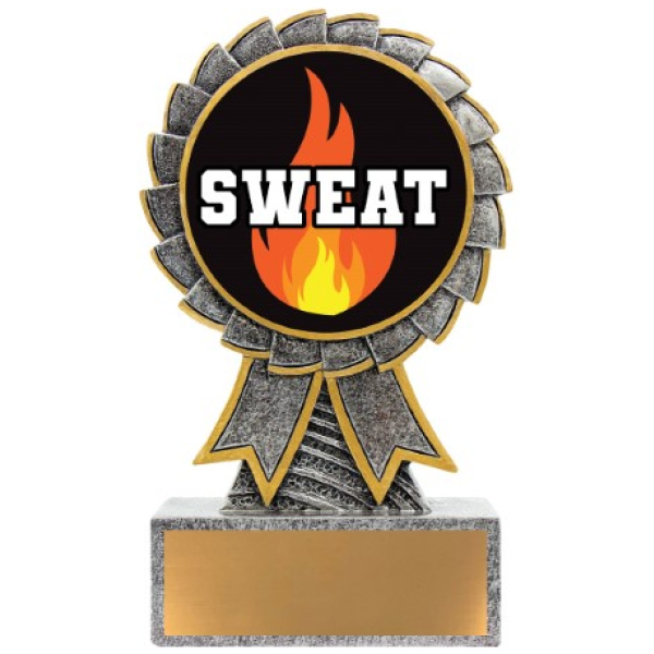 Aster - Sweat Training