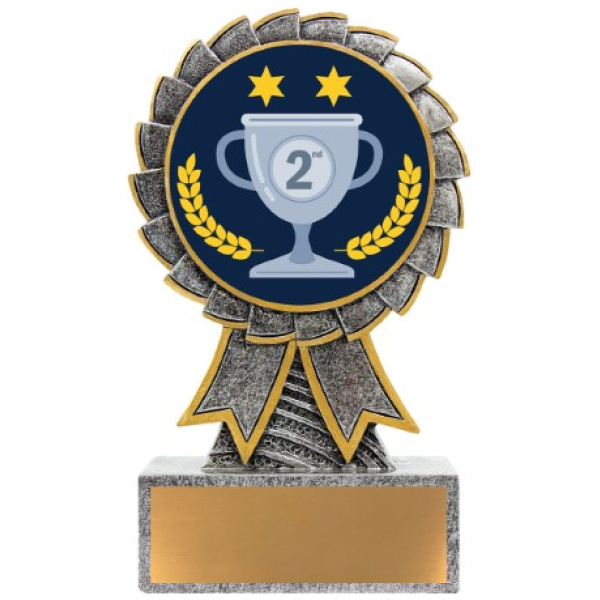 Aster - 2nd Place
