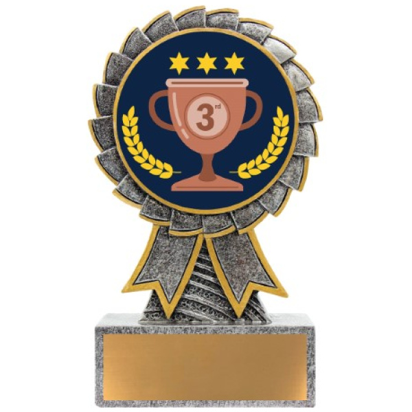 Aster - 3rd Place