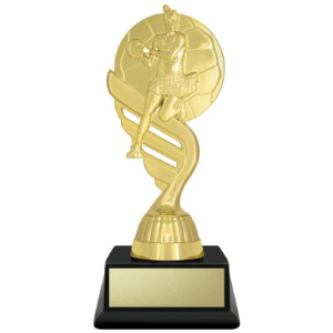 Budget Gold - Netball