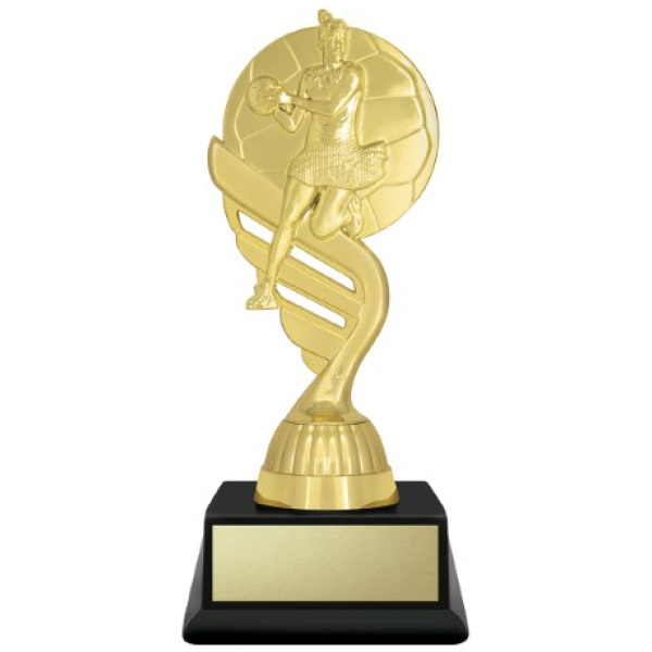 Budget Gold - Netball