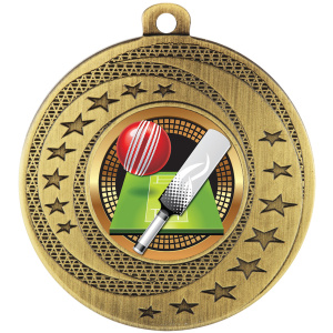 Wayfare Medal - Cricket
