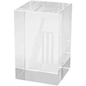 Cricket Crystal Block
