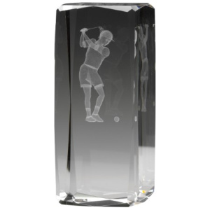 Hologram Female Player