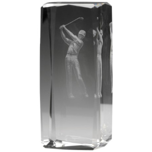 Hologram Male Player