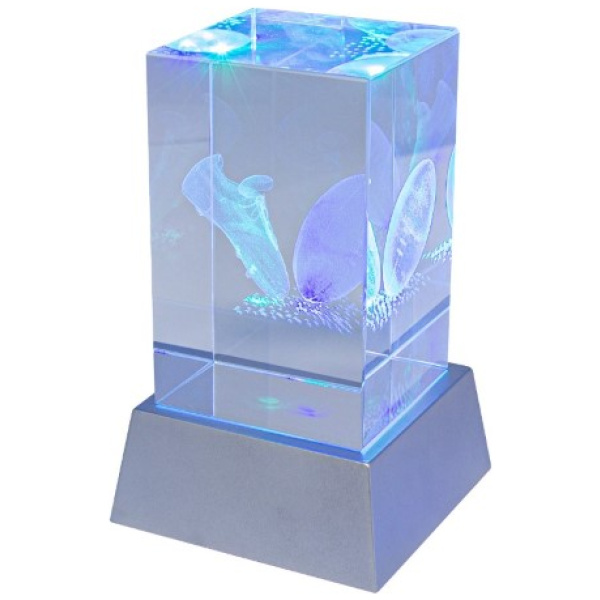 Light Up Crystal