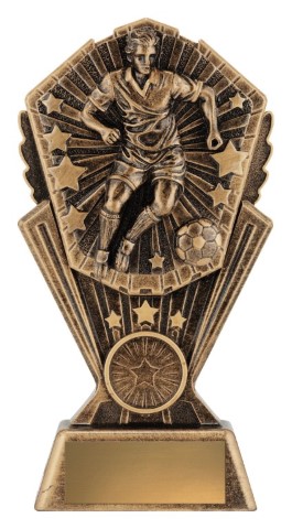 Cosmos - Football Male