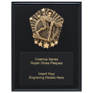 Cosmos Super Plaque - Male Swim