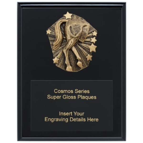 Cosmos Super Plaque - Horse's Rear