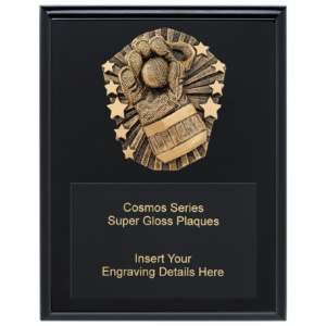 Cosmos Super Plaque - Wicketkeeper