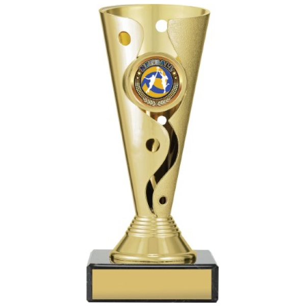 Carnival Cup - Netball
