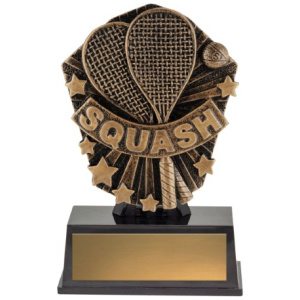 Cosmos Super Mini - Squash