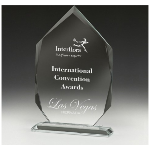 Integrity Arrowhead