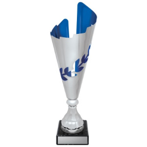 Destiny Cup